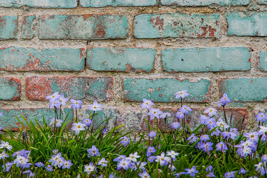 Springtime in Phoebus Photograph by Cyndi Goetcheus Sarfan