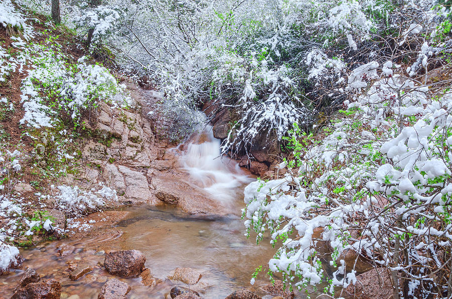 Springtime In The Colorado Rockies Implies Heavy, Slushy Snow, And Lots Of It. Photograph by Bijan Pirnia