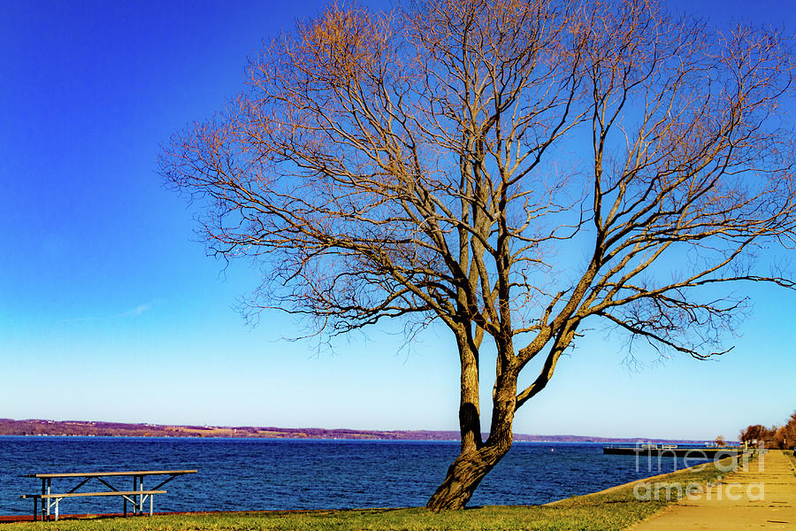 Springtime in the Finger Lakes Photograph by William Norton