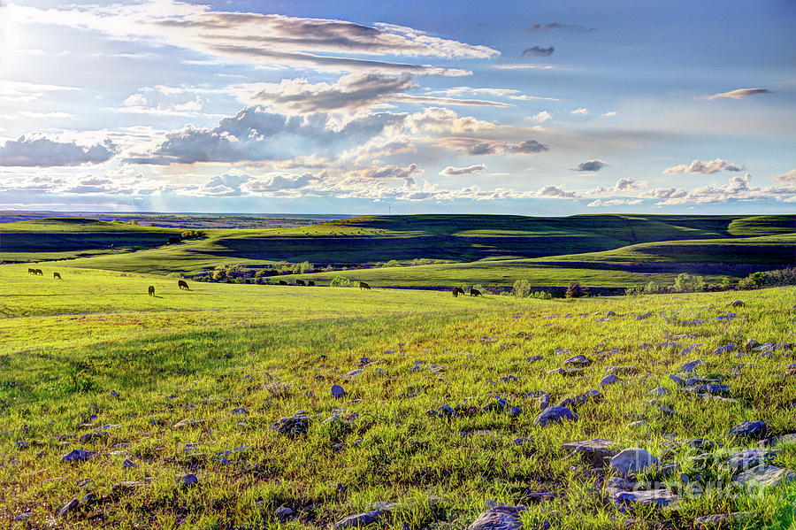 Springtime in the Flint Hills Photograph by Jean Hutchison