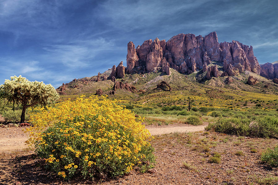 Springtime In The Superstition Mountains Photograph by James Eddy