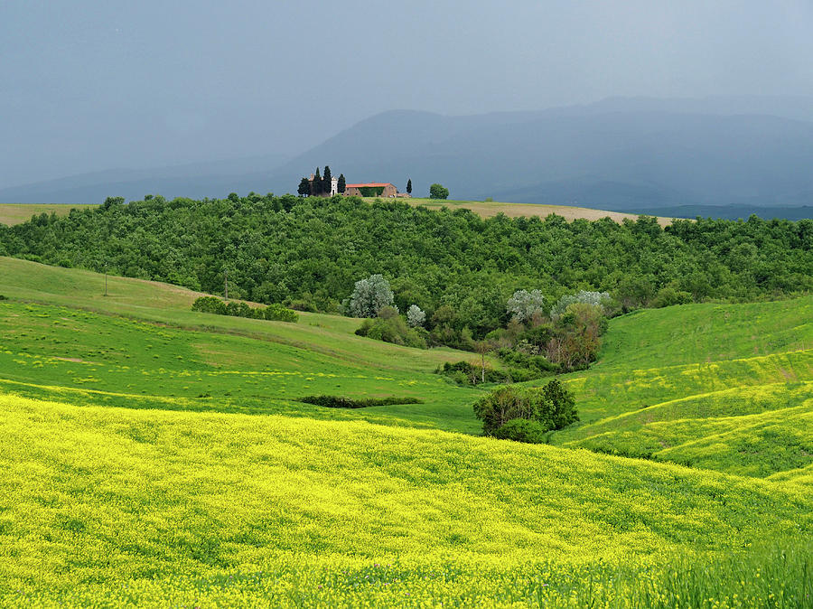 Springtime in Tuscany Photograph by Dennis Cox