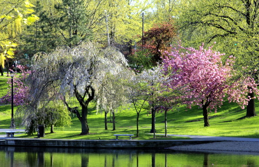 Springtime in Wade Park Photograph by Valerie Collins