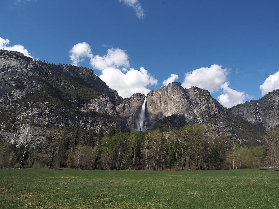 Springtime and Yosemite Falls  Photograph by Joe Schofield