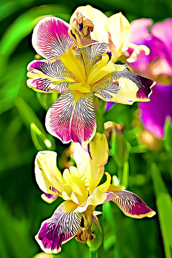 Springtime Iris Flowers Mixed Media by Tatiana Travelways