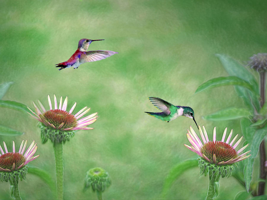 Springtime Nectar Digital Art by Vicki Lea Eggen