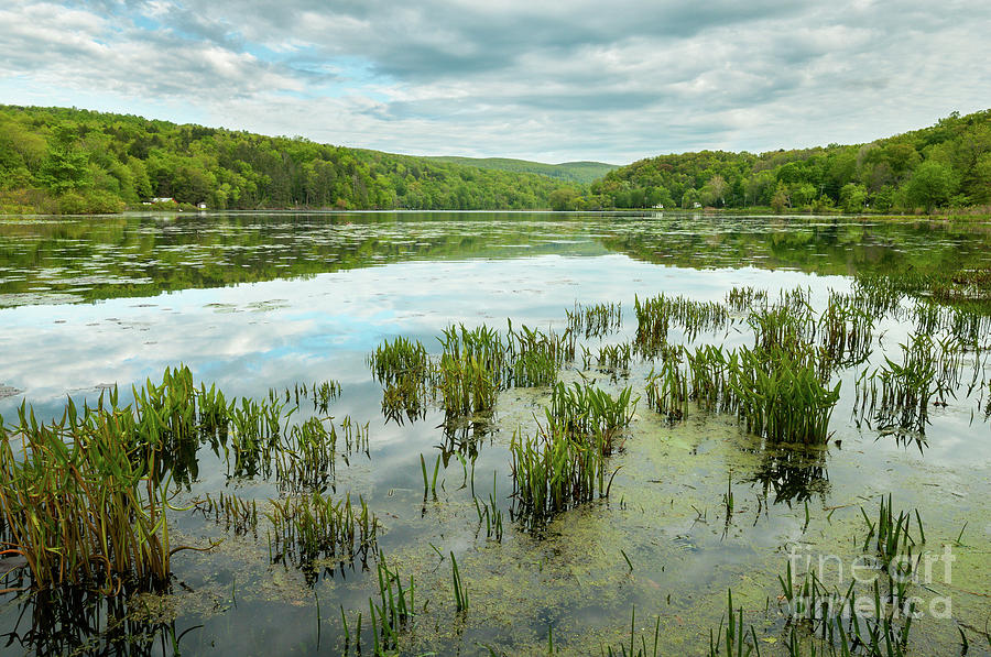 Springtime on Hatch Pond - New England Lake Photograph by JG Coleman
