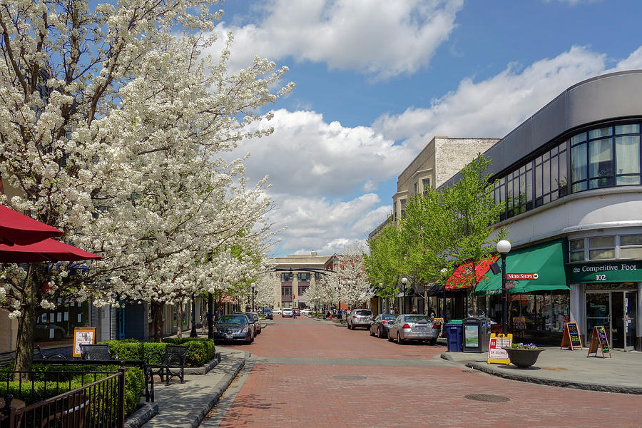 Springtime on Marion Street. Photograph by Todd Bannor