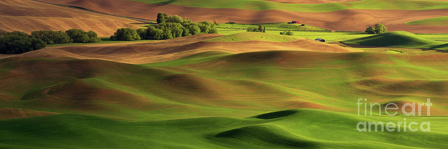 Springtime on the Palouse Photograph by Beve Brown-Clark Photography