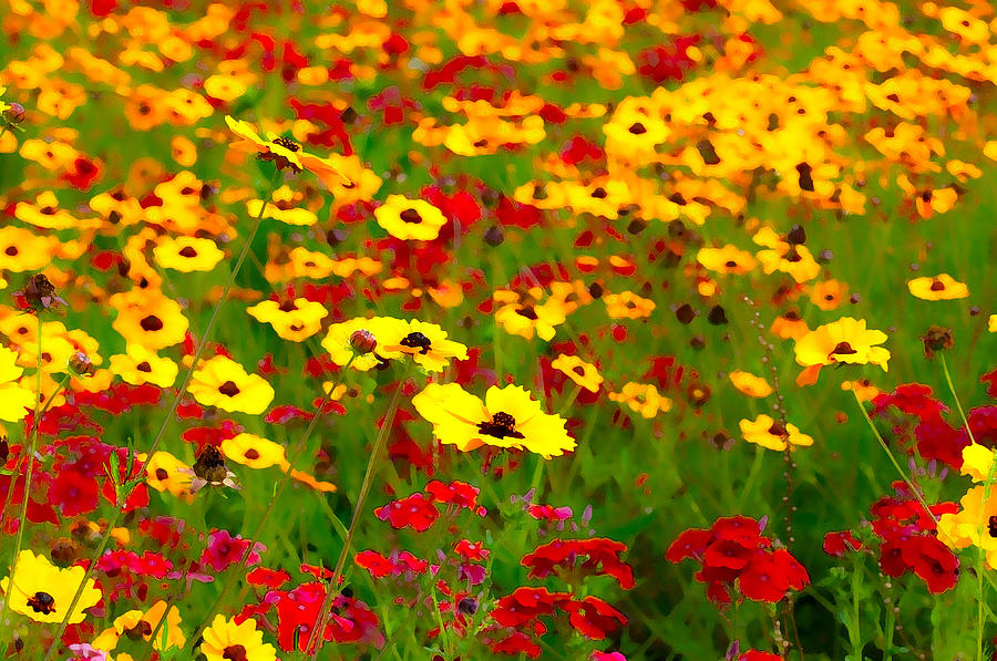 Springtime Photograph by Pete Rems Springtime Photograph by Pete Rems