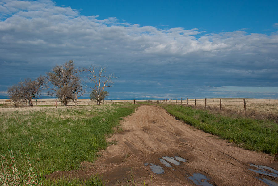 Springtime Prairie Road Photograph by Cascade Colors