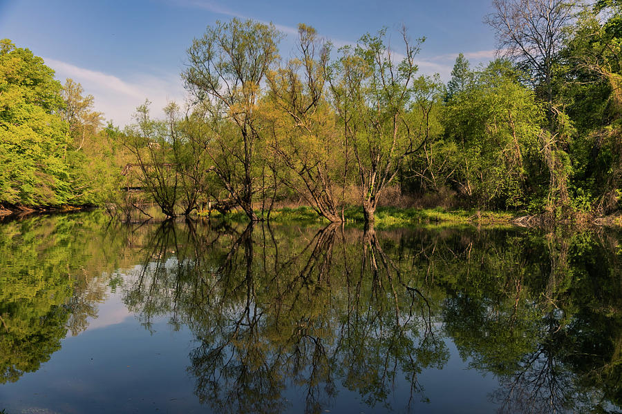 Springtime Reflections on the Valley River Photograph by Kelly Kennon