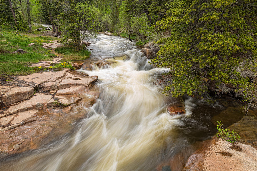 Springtime Rocky Mountain Stream Left Hand Photograph