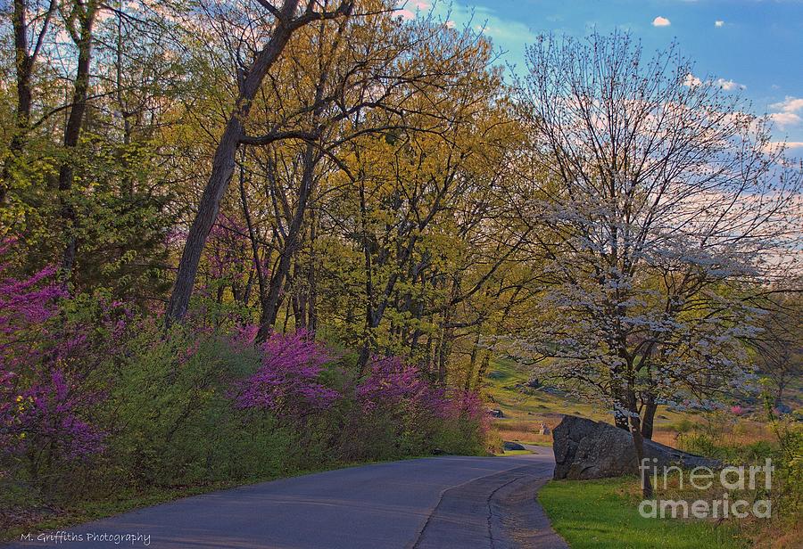 Gettysburg National Park Photograph - Springtime Splendor by Michael Griffiths