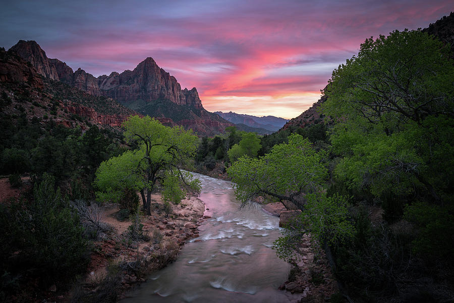 Springtime Sunset at Zion National Park by James Udall Springtime Sunset at Zion National Park by James Udall