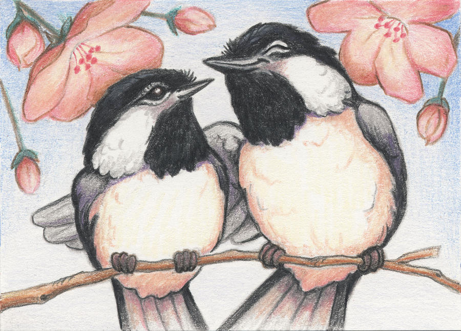 Bird Drawing - Springtime Sweethearts by Amy S Turner