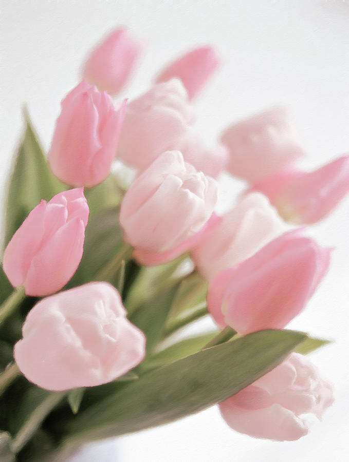 Springtime Tulips Pastel