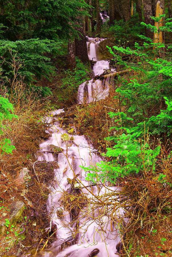 Mountain Photograph - Springtime waterfall  by Jeff Swan