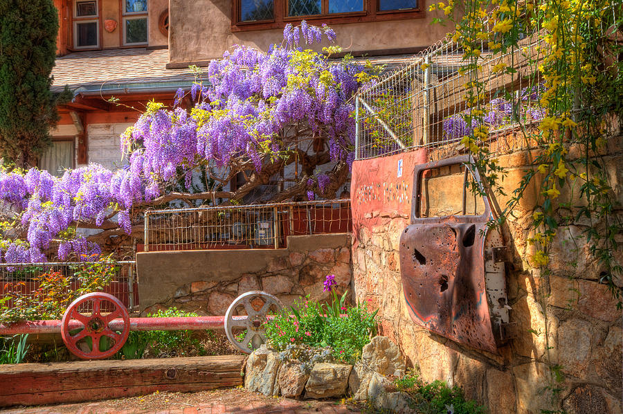 Springtime Wisteria in Old Bisbee Photograph by Charlene Mitchell