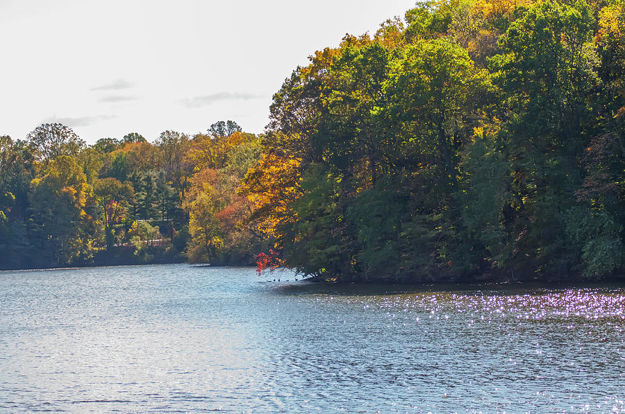 Springton Reservoir in Autumn - Delaware County Pa Photograph by Bill Cannon