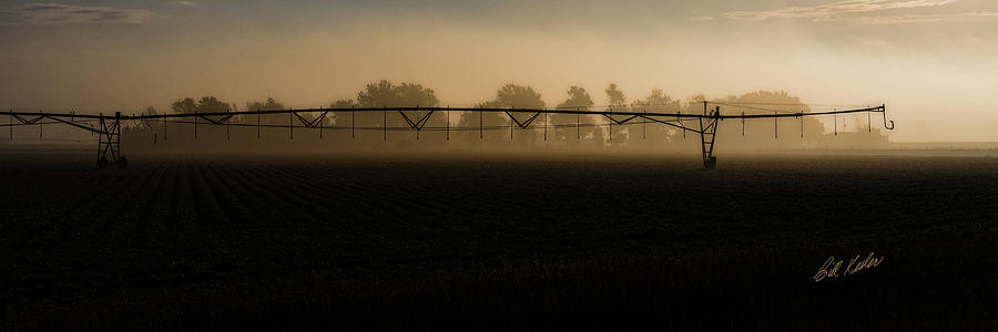 Sprinkler In The Fog Photograph by Bill Kesler