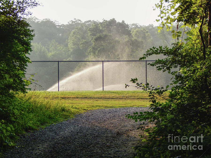Sprinklers Behind Fence Photograph by Phil Perkins