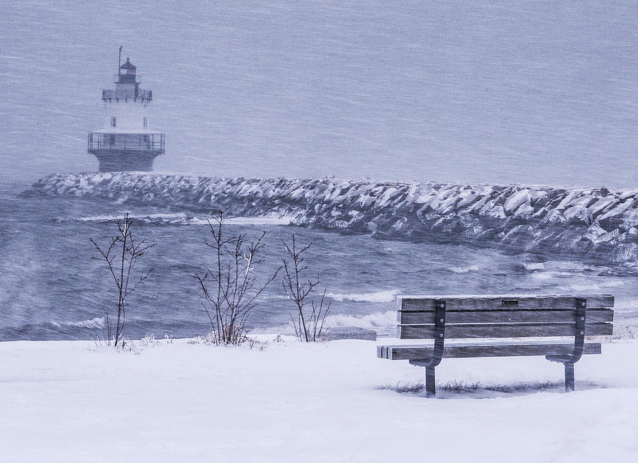 Sprint Point Ledge Bench Blizzard Photograph by Hershey Art Images