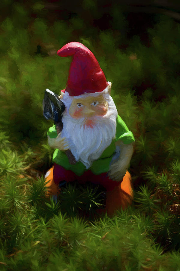 Spritely Garden Gnome Photograph by Kathy Clark