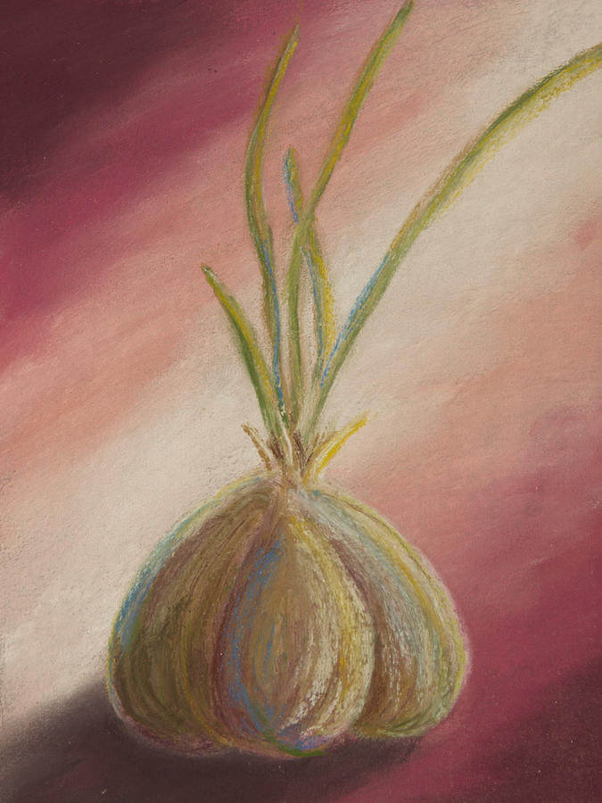 Soft Pastel Drawing - Sprouted Garlic by Cheryl Albert