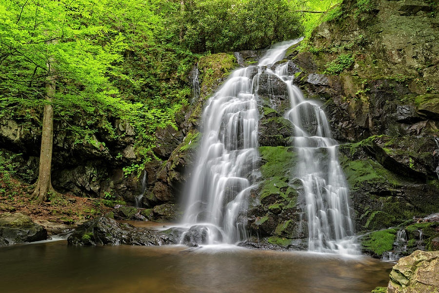 Spruce Flats Falls by Jim Vallee Spruce Flats Falls by Jim Vallee