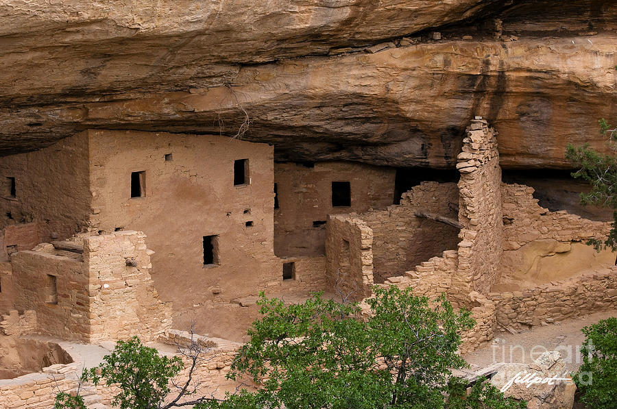 Mesa Verde National Park Photograph - Spruce Tree House Overlook by Bon and Jim Fillpot