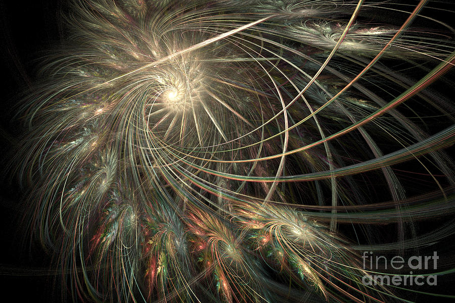 Abstract Digital Art - Spun Feathers by Ann Garrett
