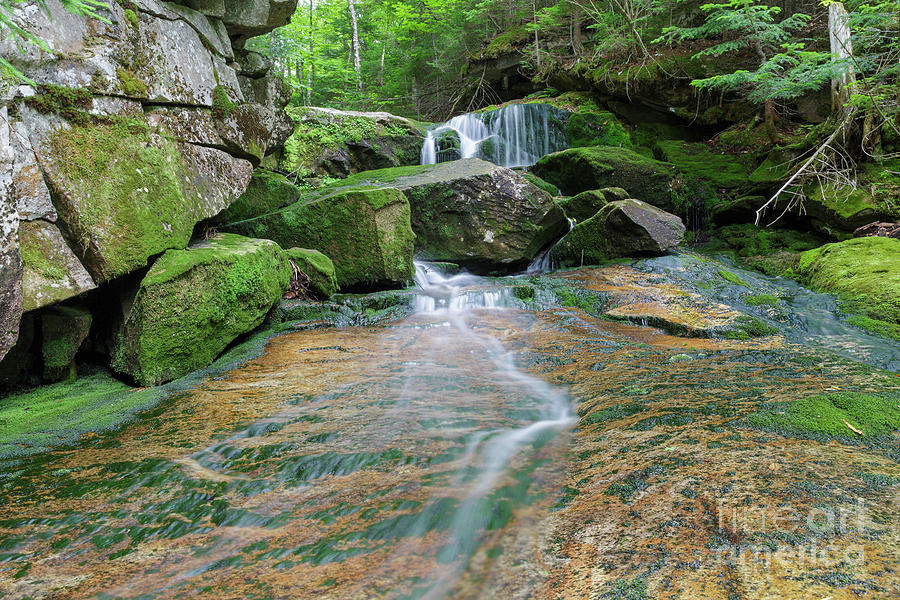 Nature Photograph - Spur Brook - Randolph New Hampshire by Erin Paul Donovan