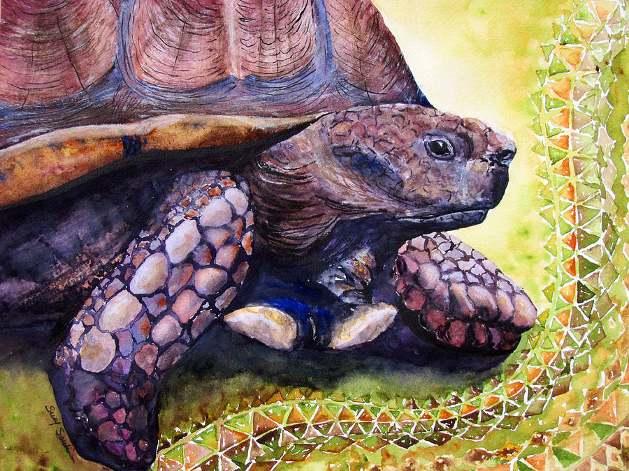 Spur Tortoise Painting by Susy Soulies | Fine Art America