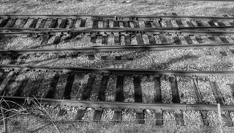 Spur Tracks Photograph by Robert Wilder Jr