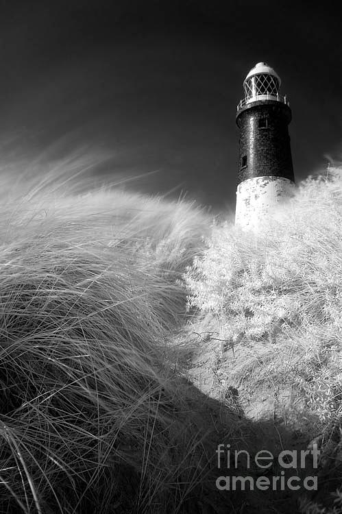 Spurn Lighthouse Photograph by Richard Burdon