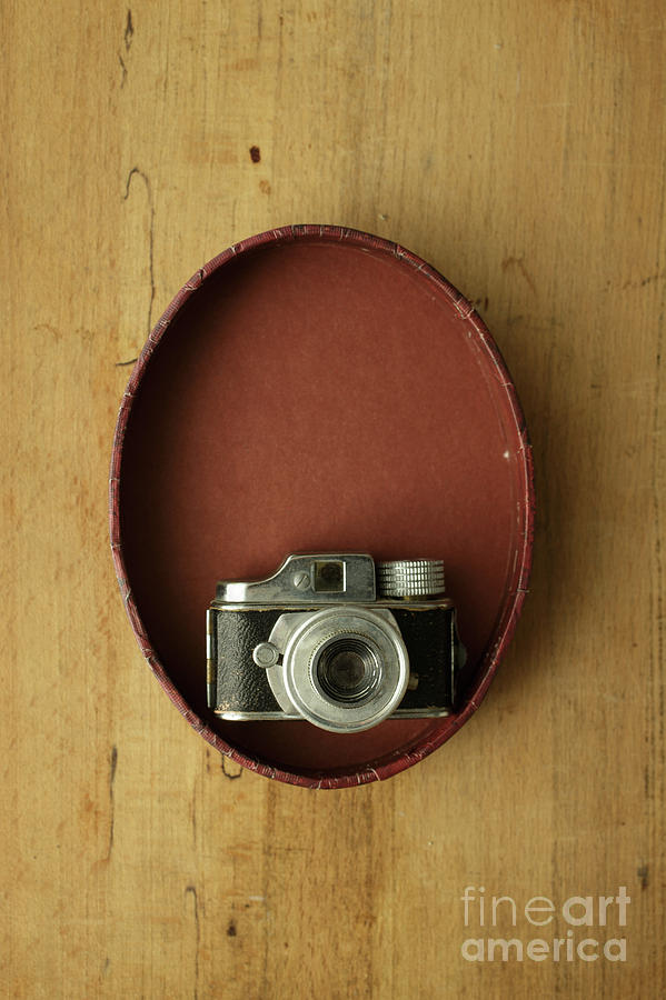Spy Camera Photograph by Edward Fielding