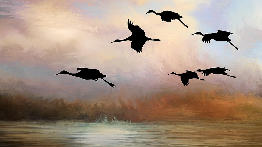 Squadron of Sandhill Cranes, Bosque del Apache, New Mexico by Flying Z Photography by Zayne Diamond Squadron of Sandhill Cranes, Bosque del Apache, New Mexico by Flying Z Photography by Zayne Diamond