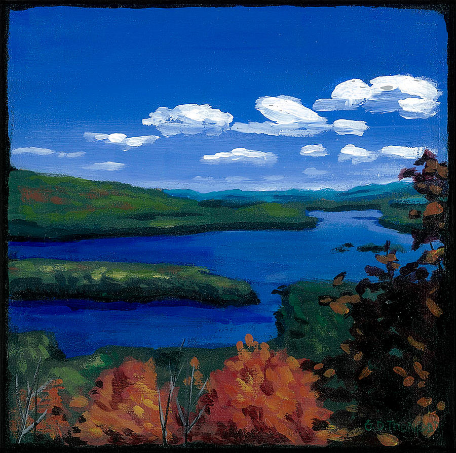 Summer Painting - Squam Lake by Gisele D Thompson
