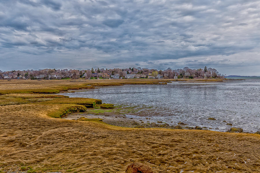 Squantum Marshes Photograph by Brian MacLean