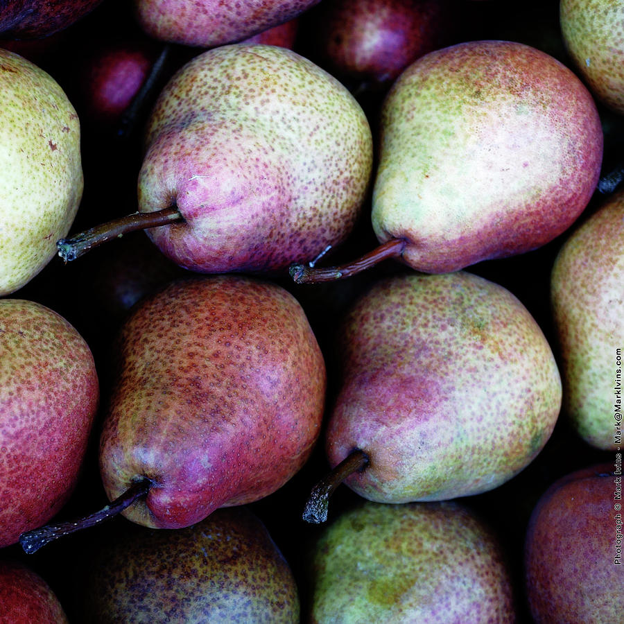 Pears Photograph by Mark Ivins