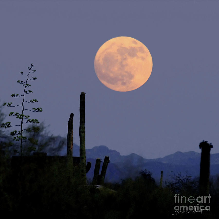 Square Custom Size Moonrise Photograph by Joanne West
