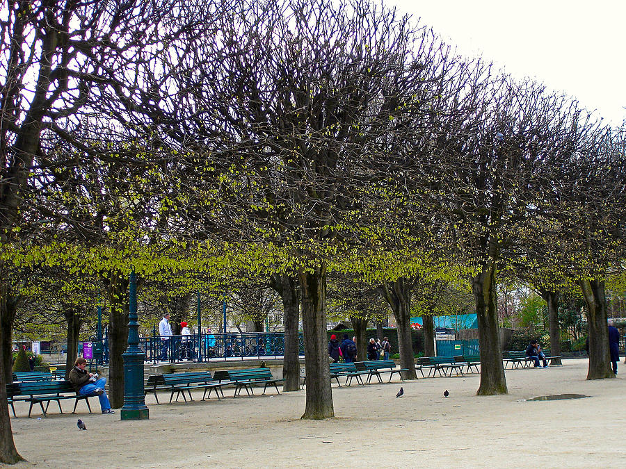 Square Jean Xxiii At Spring Photograph