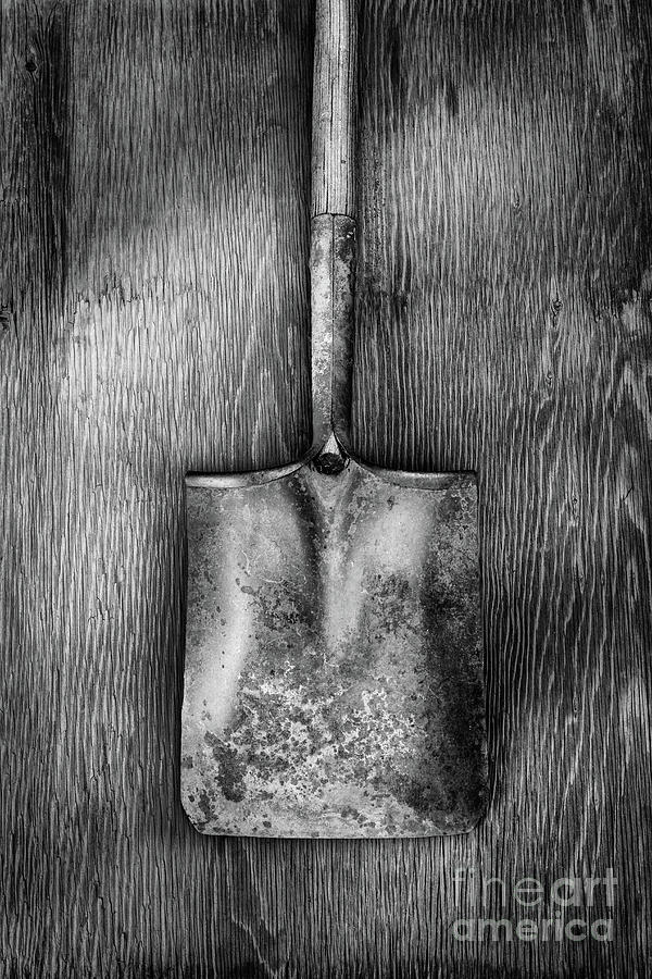 Still Life Photograph - Square Point Shovel Down 3 by YoPedro