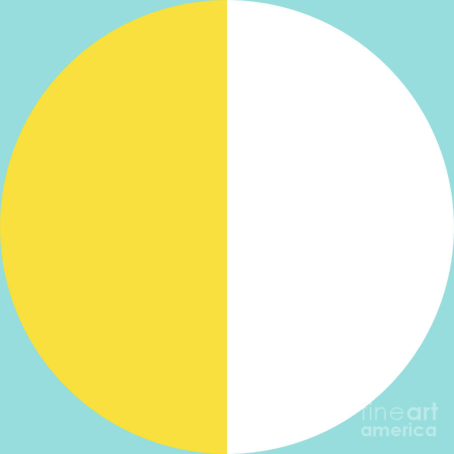 Squared Circle - Buttercup - Limpet Shell - White Digital Art by Jason Freedman
