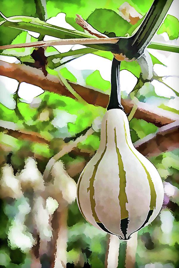 Summer Painting - Squash 1 by Jeelan Clark