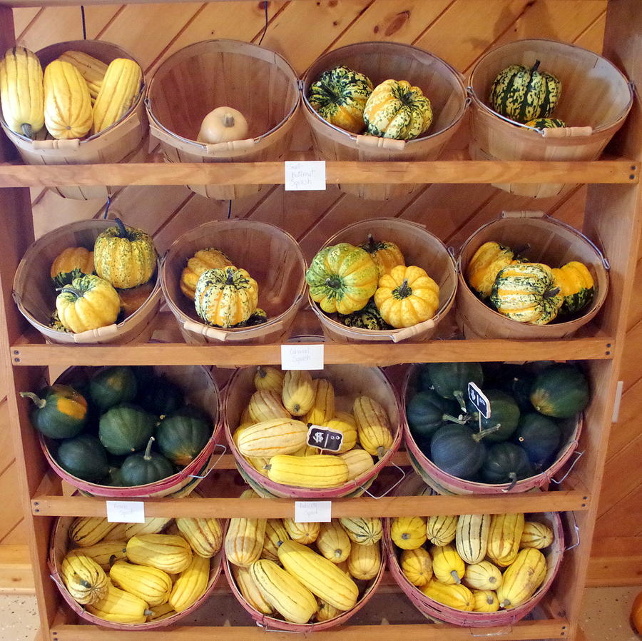 Squash for Sale Photograph by Mary Courtney