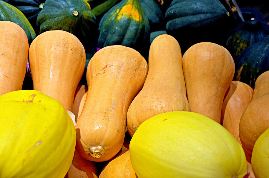 Squashes Photograph by Robert Meyers-Lussier