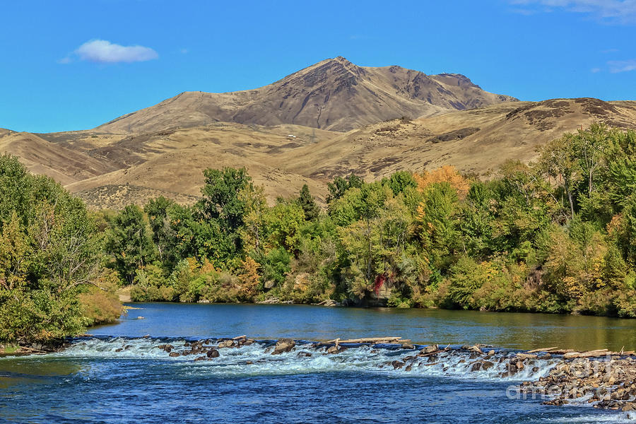 Tree Photograph - Squaw Butte and The Payette River by Robert Bales