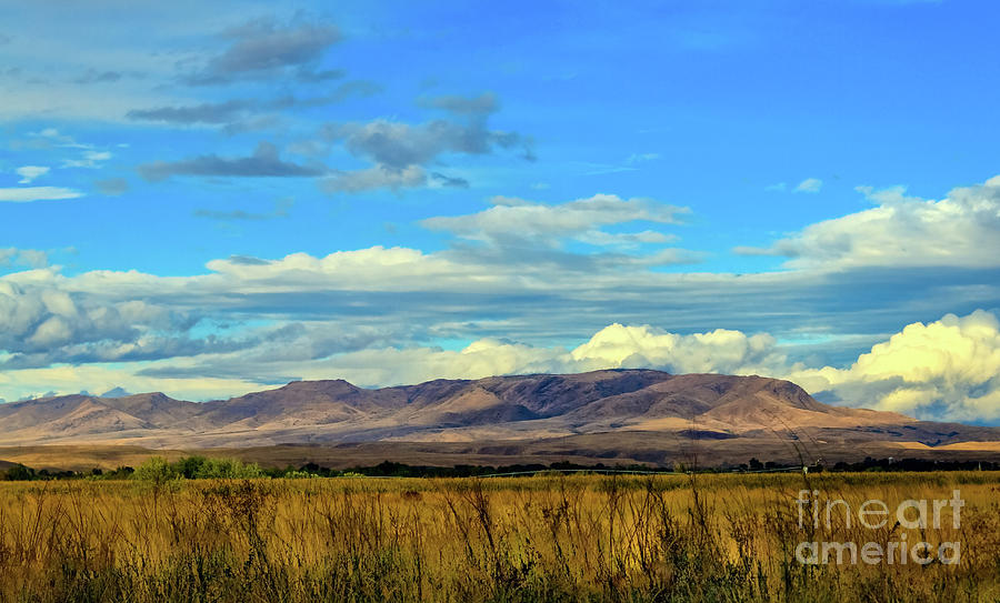 Squaw Butte From The West Photograph by Robert Bales